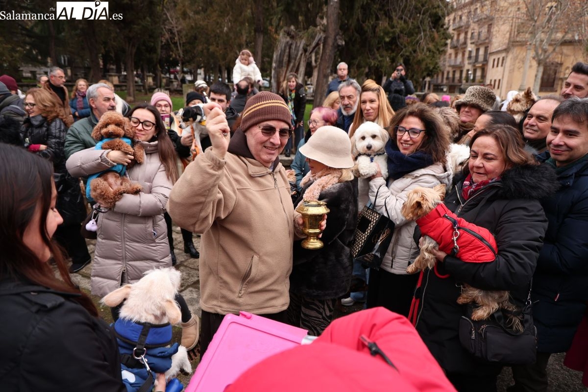 VÍDEO Y FOTOS | Las mascotas de Salamanca reciben la bendición de San Antón en el Campo de San Francisco