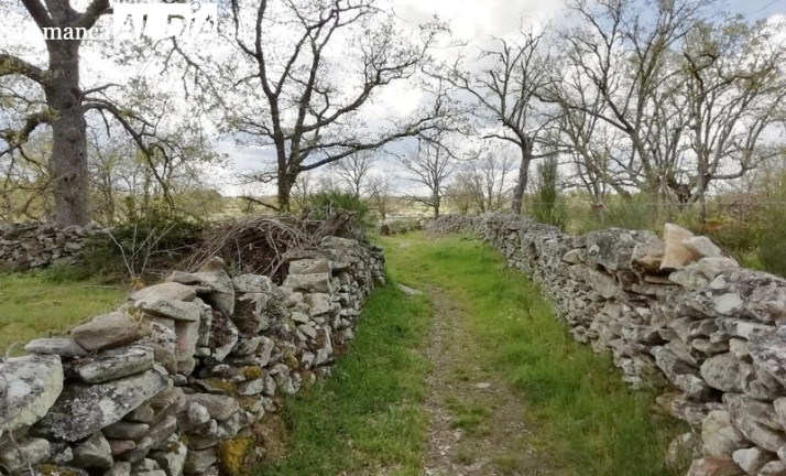 La concentración parcelaria de Lumbrales avanza con la exposición pública de sus bases definitivas