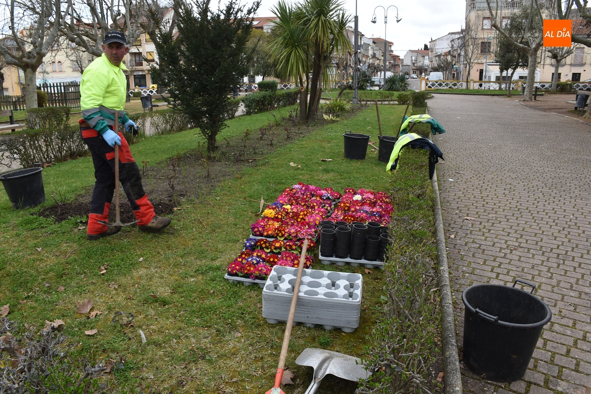 46 admitidos y 11 excluidos en la bolsa de empleo de peón de jardín 