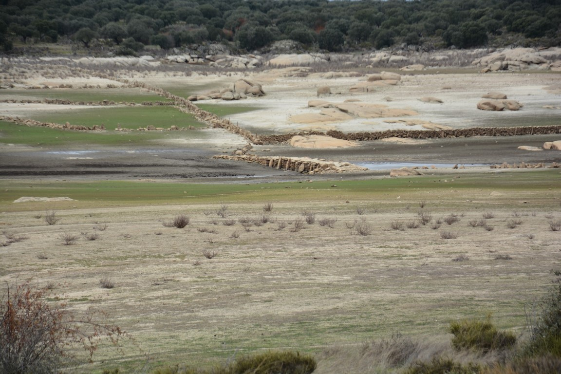 Música para fanfarrias vergonzantes