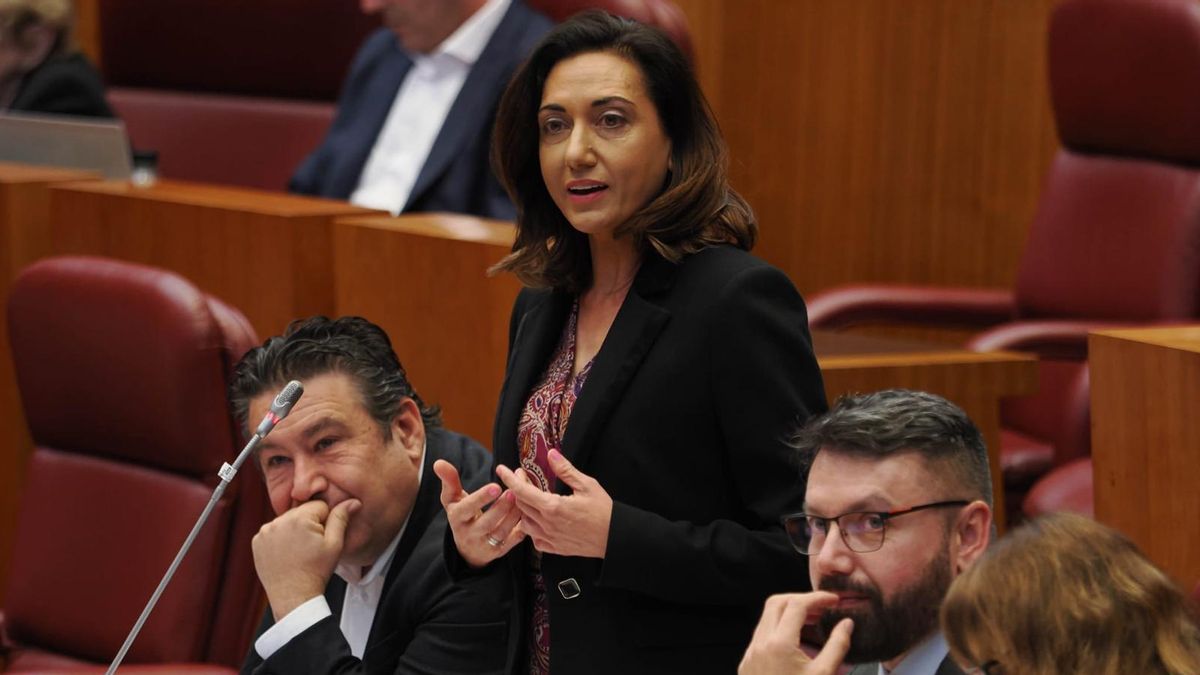 UPL denuncia ante las Cortes la negligente gestión de la Junta en los incendios que asolaron Salamanca