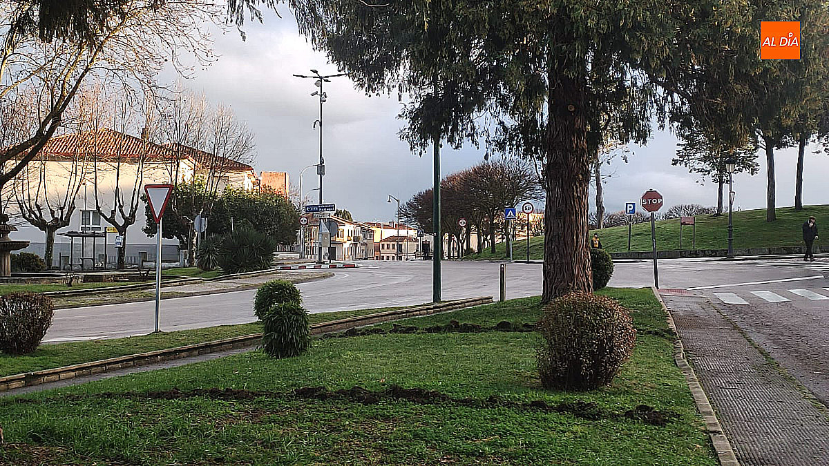 El Árbol Gordo acogerá una escultura en homenaje al Carnaval del Toro