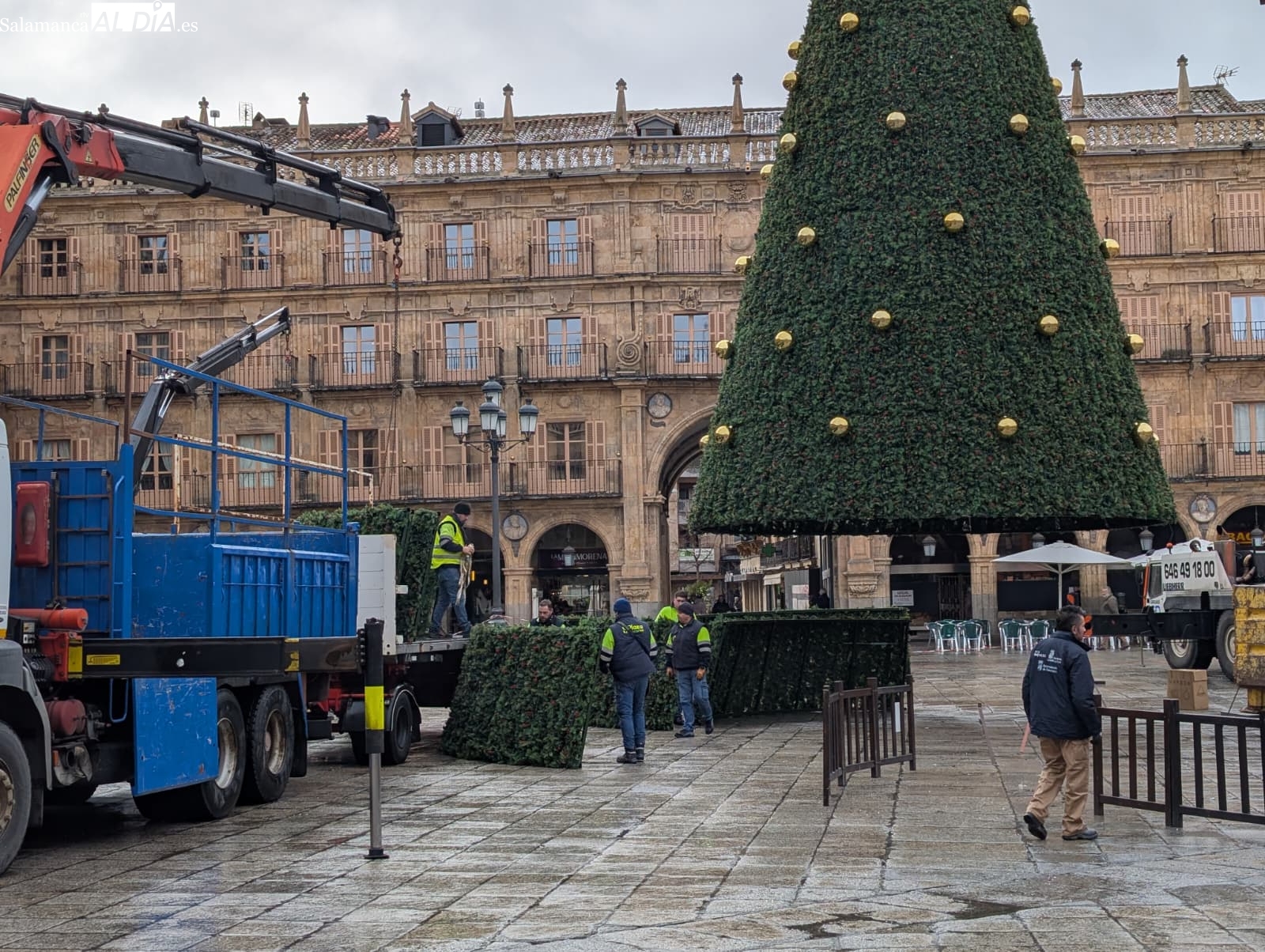 VÍDEO Y FOTOS | Salamanca dice adiós a la Navidad con el desmontaje del árbol de la Plaza Mayor y el mercado de Anaya