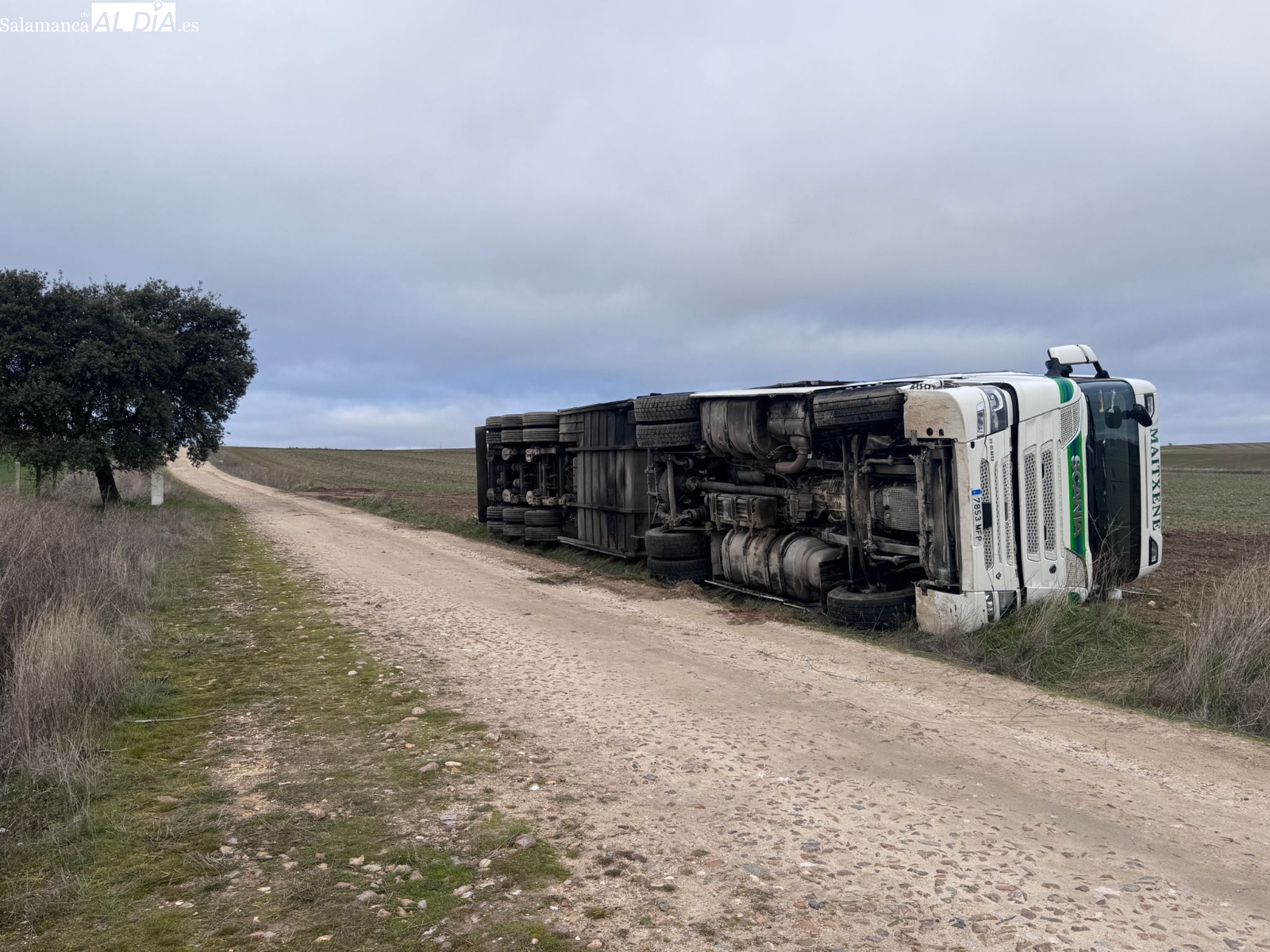 Los bomberos de la Diputación intervienen en Alba de Tormes tras el vuelco de un camión de animales