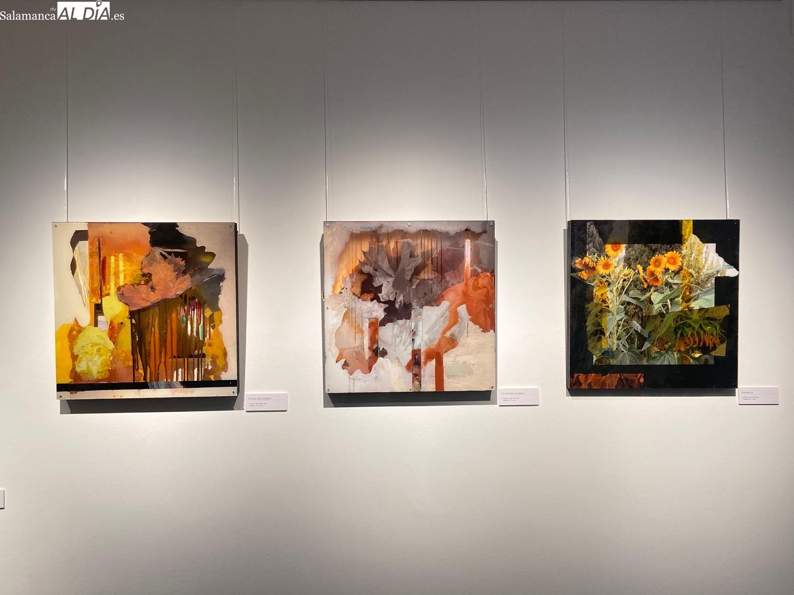 FOTOS | Marina Gómez recorre su trayectoria en la exposición Dos tiempos, dos espacios de La Salina