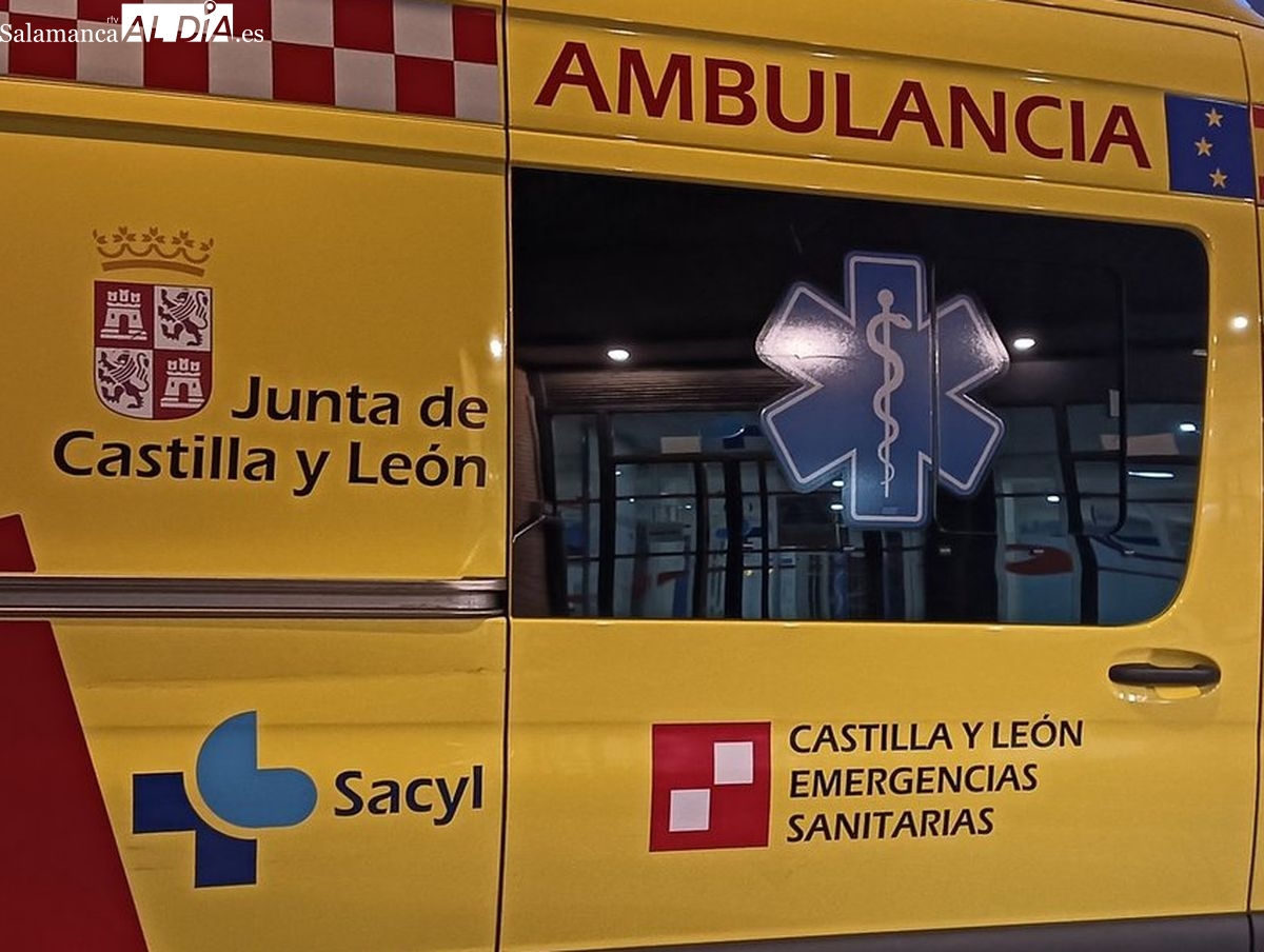 Herida una mujer de 51 años tras chocar su turismo contra una vaca en Narros de Matalayegua