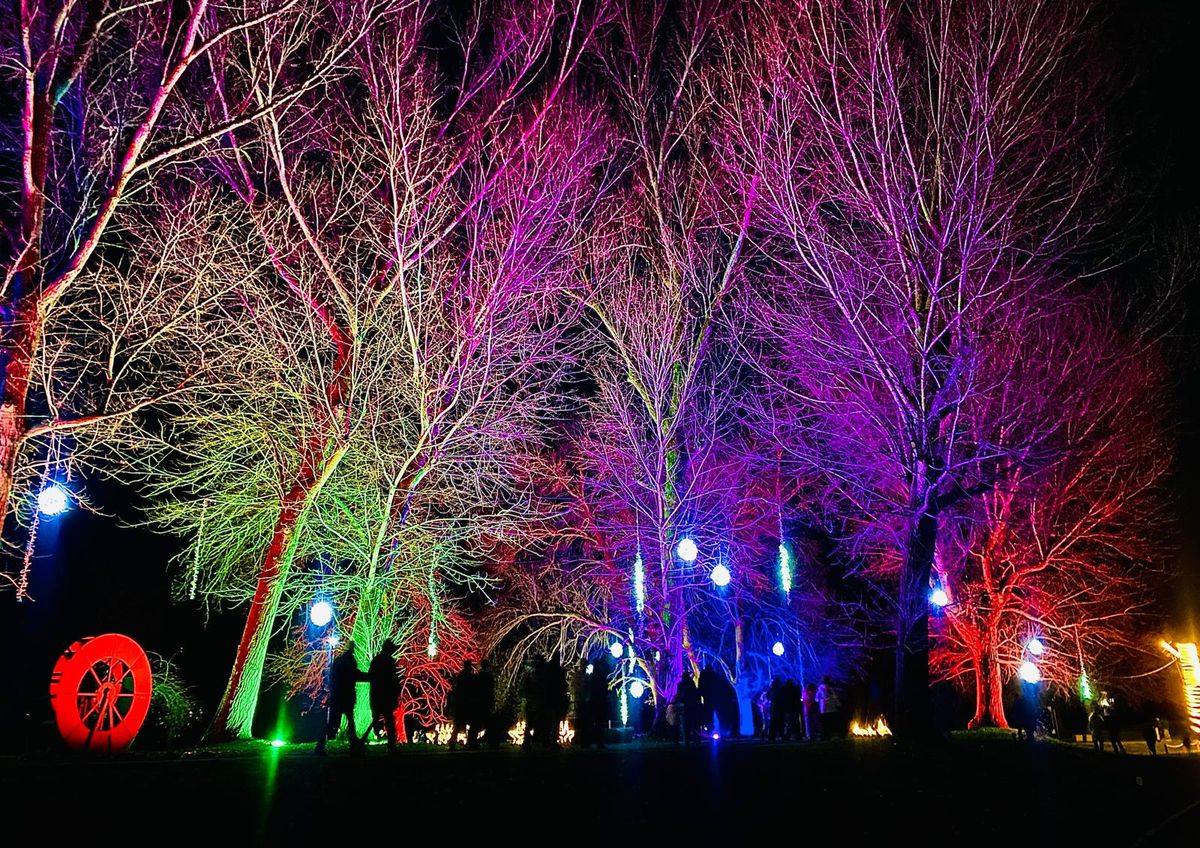 La Navidad de Santa Marta cierra con un récord de 252.000 visitas registradas