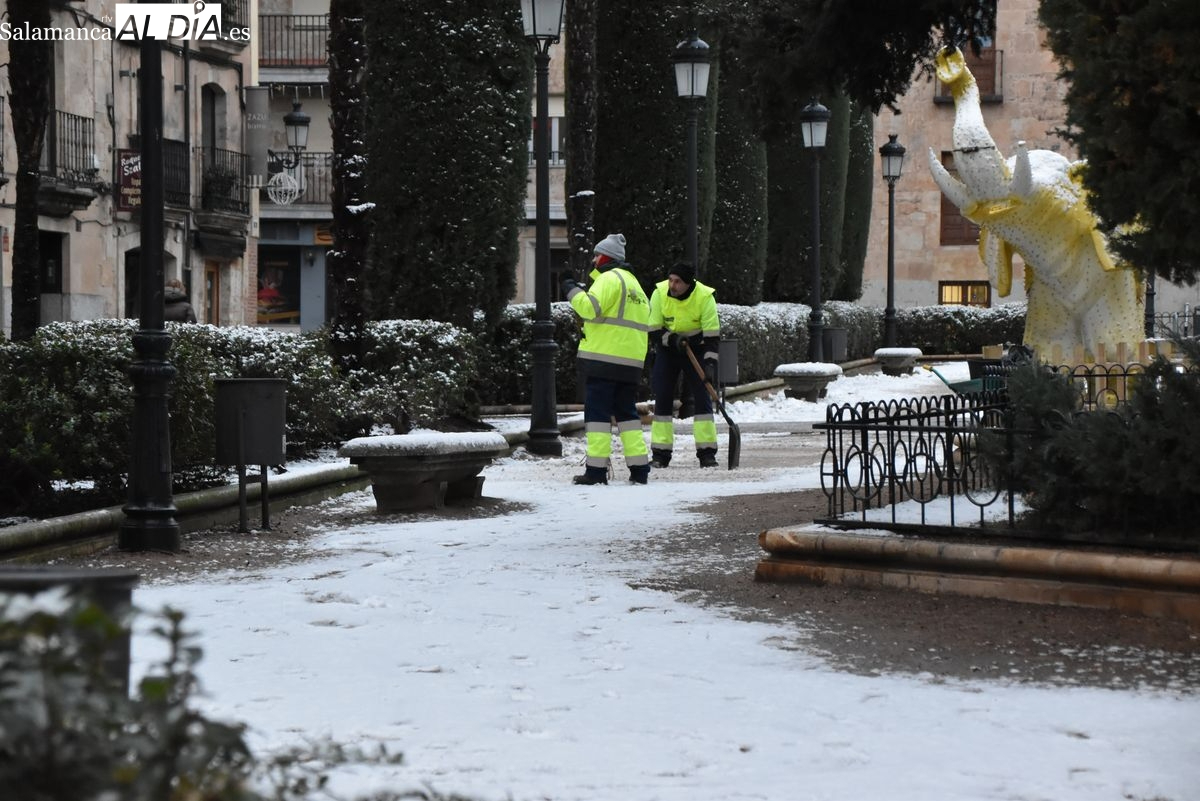 Carbayo asegura que la nevada no ha sido inesperada y destaca el trabajo preventivo contra el hielo