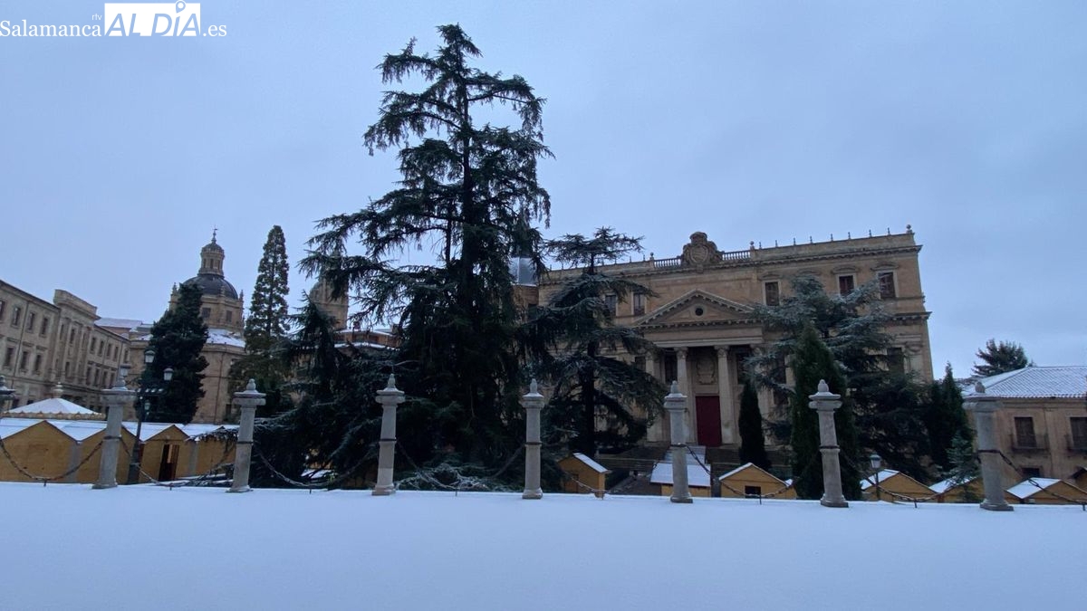 FOTOS | Salamanca amanece cubierta de un manto blanco tras las nevadas de esta madrugada