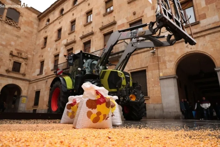 V&Iacute;DEO Y FOTOS | Los agricultores de Salamanca reparten legumbres y tiran grano para denunciar la "competencia desleal" de Mercosur | Imagen 1
