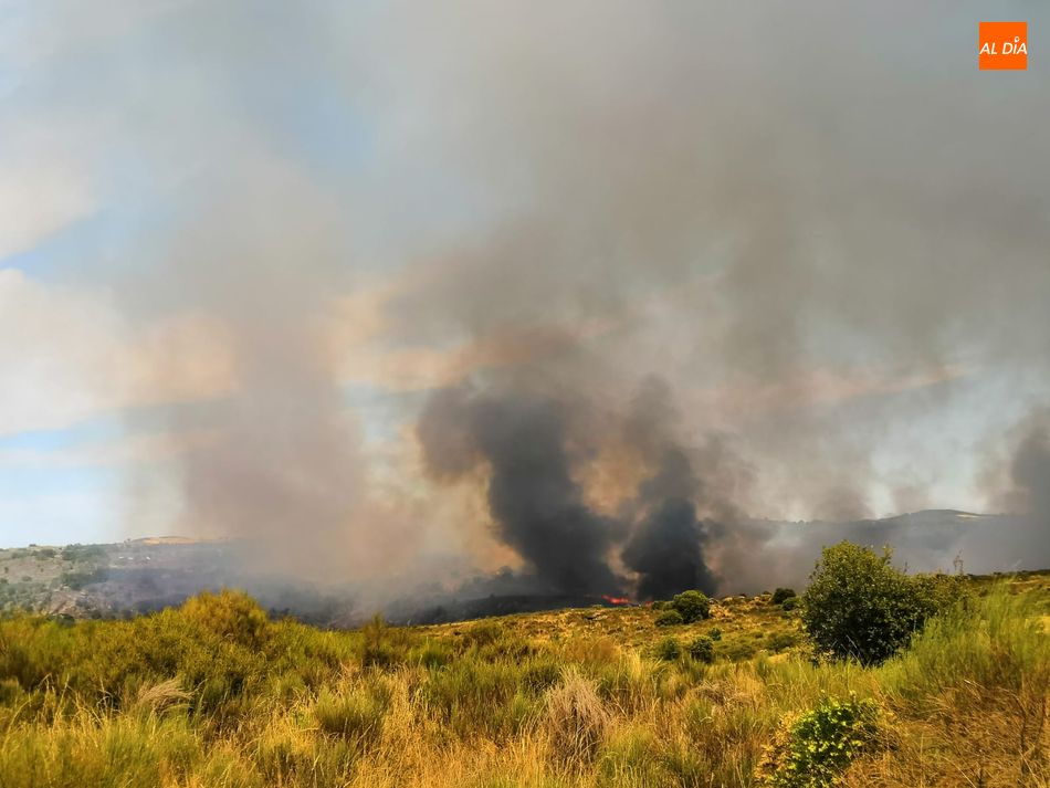 Controlado el incendio forestal de Saldeana y Barruecopardo que ha calcinado unas 170 hectáreas  