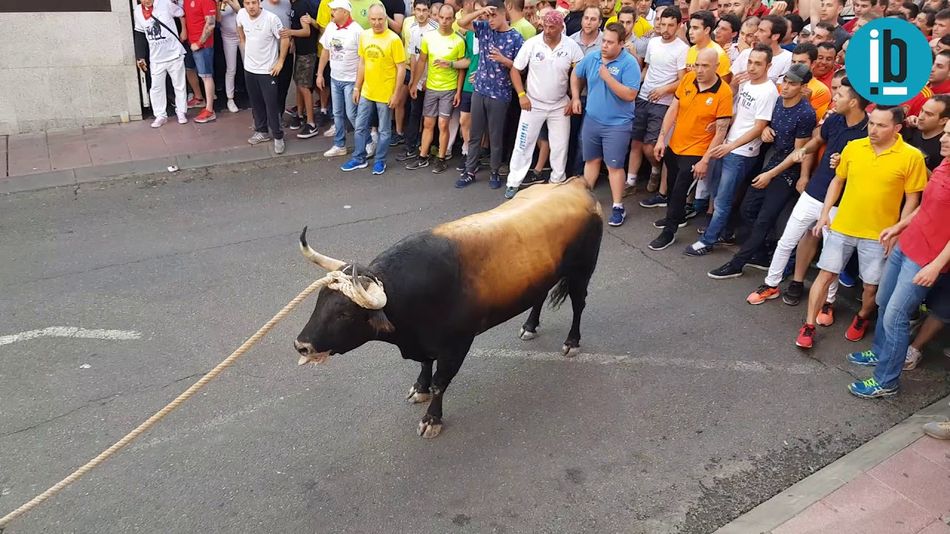 Fiestas del Toro Enmaromado de Benavente