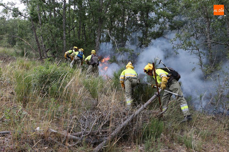 Bomberos forestales en una intervención anterior en la provincia. Foto de archivo