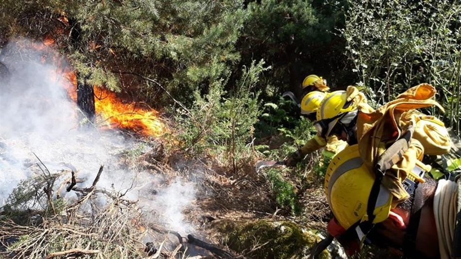 Baja a nivel 1 el incendio de La Granja tras quemar unas 410 hectáreas  