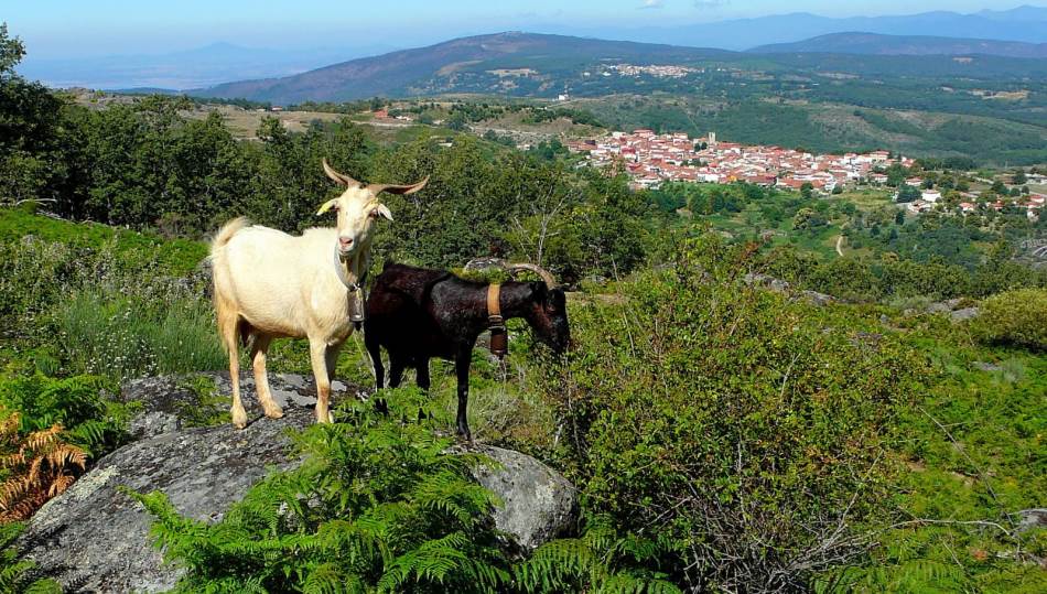 Vista panorámica de El Cerro