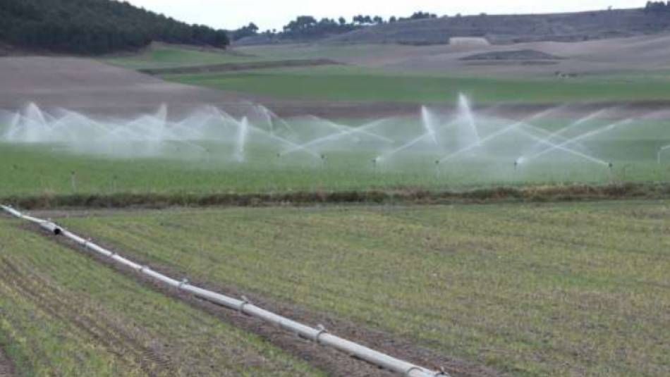 La contaminación por nitratos de las aguas subterráneas supone también un problema de salud, asegura CCOO