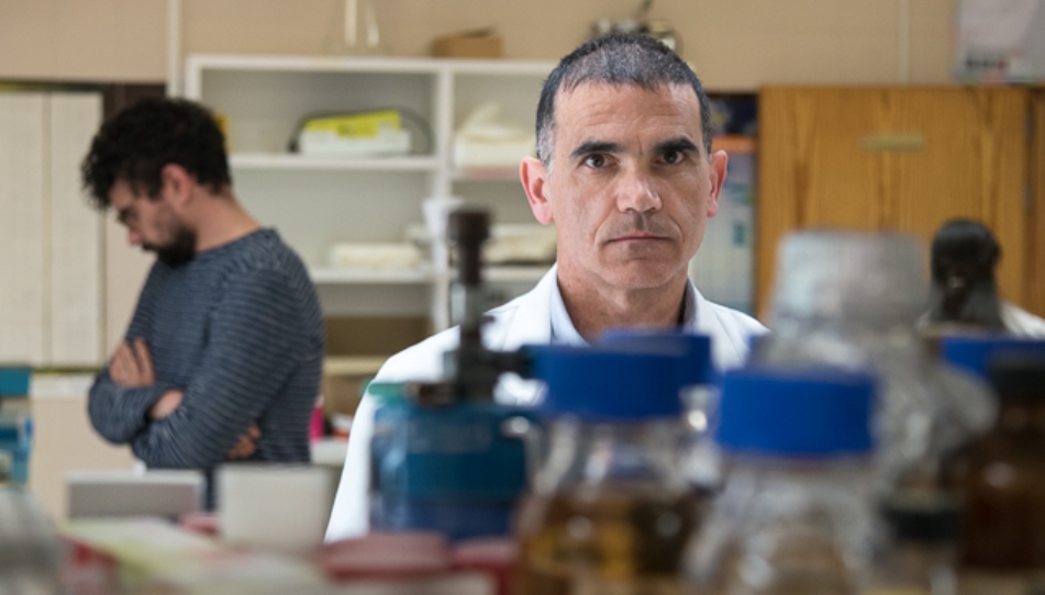 Ángel Hernández, del Departamento de Bioquímica y Biología Molecular y director del Grupo de Señalización Redox en Neoplasias Hematológicas del IBSAL. Foto Sergio Manzano / USAL