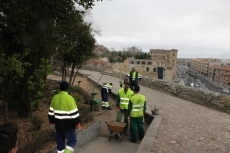 Foto 3 - El Ayuntamiento invierte más de 28.000 euros en mejoras del Huerto de Calixto y Melibea
