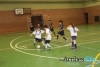 Foto 2 - Animado campeonato provincial de fútbol sala prebenjamín con cerca de 250 niños