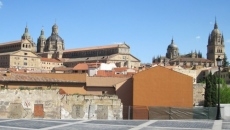 Foto 3 - Ciudadanos por la Defensa del Patrimonio alerta sobre la pérdida de vistas del Teso de las...