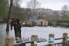 Foto 5 - Baja ligeramente el caudal del Águeda tras llegar a declararse el nivel 2 de emergencia