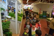 Foto 5 - Alumnos del Colegio San Francisco visitan los mercados de la ciudad