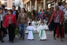 Foto 5 - Los niños devuelven la alegría al Domingo de Ramos