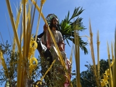 Foto 6 - Grandes y pequeños acompañaron con sus ramos a Jesús en la Borriquilla 
