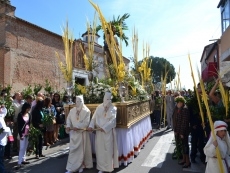 Foto 4 - Grandes y pequeños acompañaron con sus ramos a Jesús en la Borriquilla 