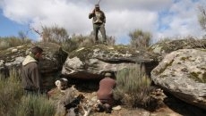 Control de depredadores: el zorro en madriguera (y II) 