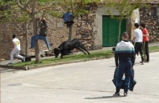 Concurridas fiestas de San Jorge con susto incluido