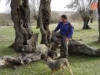 Foto 2 - Del encanto de la trashumancia, a la tradición mágica del pastoreo en Horcajo
