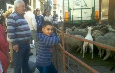 Foto 6 - Nuevo éxito de público en la Miniferia de la Motila del Asador Tino 