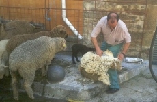 Foto 5 - Nuevo éxito de público en la Miniferia de la Motila del Asador Tino 