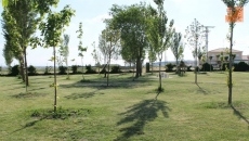 Foto 4 - El Ayuntamiento acondiciona ‘El Albergue’ con nuevos árboles, bancos y mesas