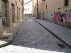 Foto 6 - 'Ciudadanos por la Defensa del Patrimonio' pide avances en la peatonalización