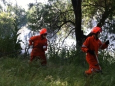 Foto 5 - Sofocan un incendio en la Isla del Soto