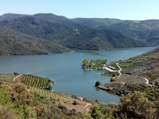 I Jornadas del Bacalao, una opción exquisita en Freixo de Espada à Cinta