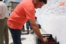Foto 4 - Más de 50 kilos de cerezas para honrar a San Gervasio y San Protasio