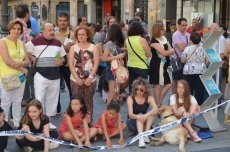 Foto 6 - Bailes charros y zamoranos sorprenden a los viandantes en la plaza del Liceo