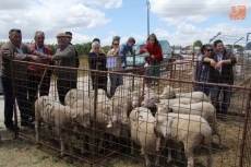 La Feria de Bañobárez reúne a más de un centenar de cabezas de ganado