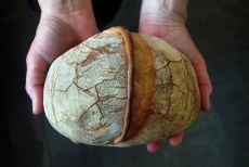 ‘Dime con qué pan soñaste’, nueva propuesta de La Querida en medio de la naturaleza