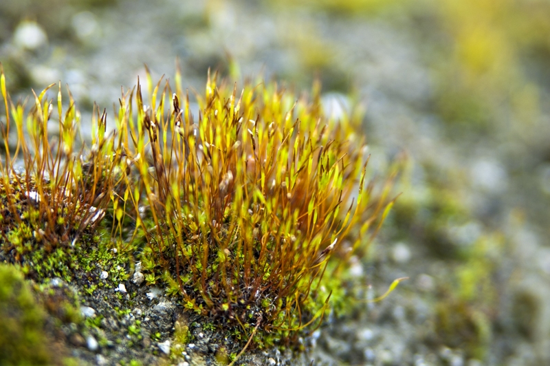 Verbo y barro | Imagen 3