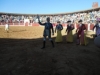 Foto 2 - Rui Fernándes y Sergio Galán hacen bailar a los toros en el coso guijuelense