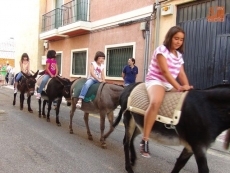 Foto 5 - Los paseos en burro triunfan entre los niños