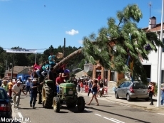 Foto 5 - El levantamiento del pino abre un largo fin de semana de fiestas