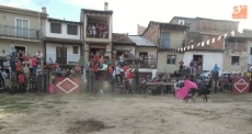 Foto 4 - Santibáñez de la Sierra se engalana en la novillada organizada con motivo de sus fiestas...