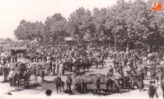 Feria de ganado del 16 de agosto de 1947