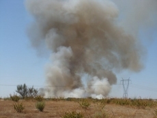 Sofocado en Aldead&aacute;vila un incendio forestal pr&oacute;ximo al casco urbano