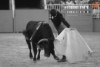 Foto 2 - Iván González, vencedor del certamen de Escuelas de Tauromaquia en clases prácticas